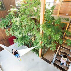 家の真ん中にあるアオダモの木。人と自然が混ざり合う暮らし