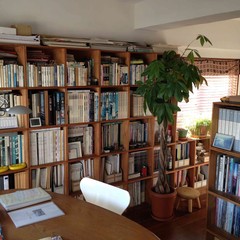 いろんな形の「壁一面本棚」を取りそろえました。どの本棚...