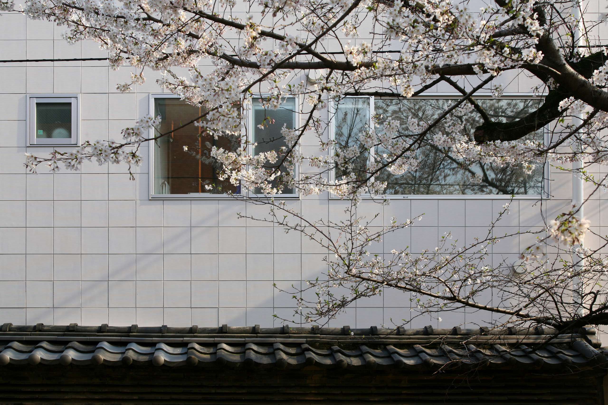 東京タワーと桜の見える家の建築事例写真