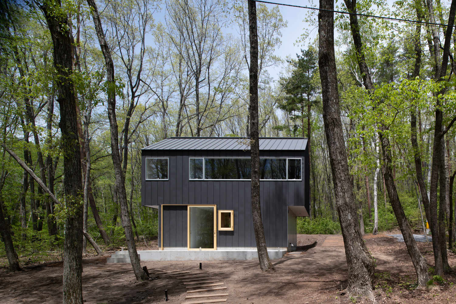 森の家の建築事例写真