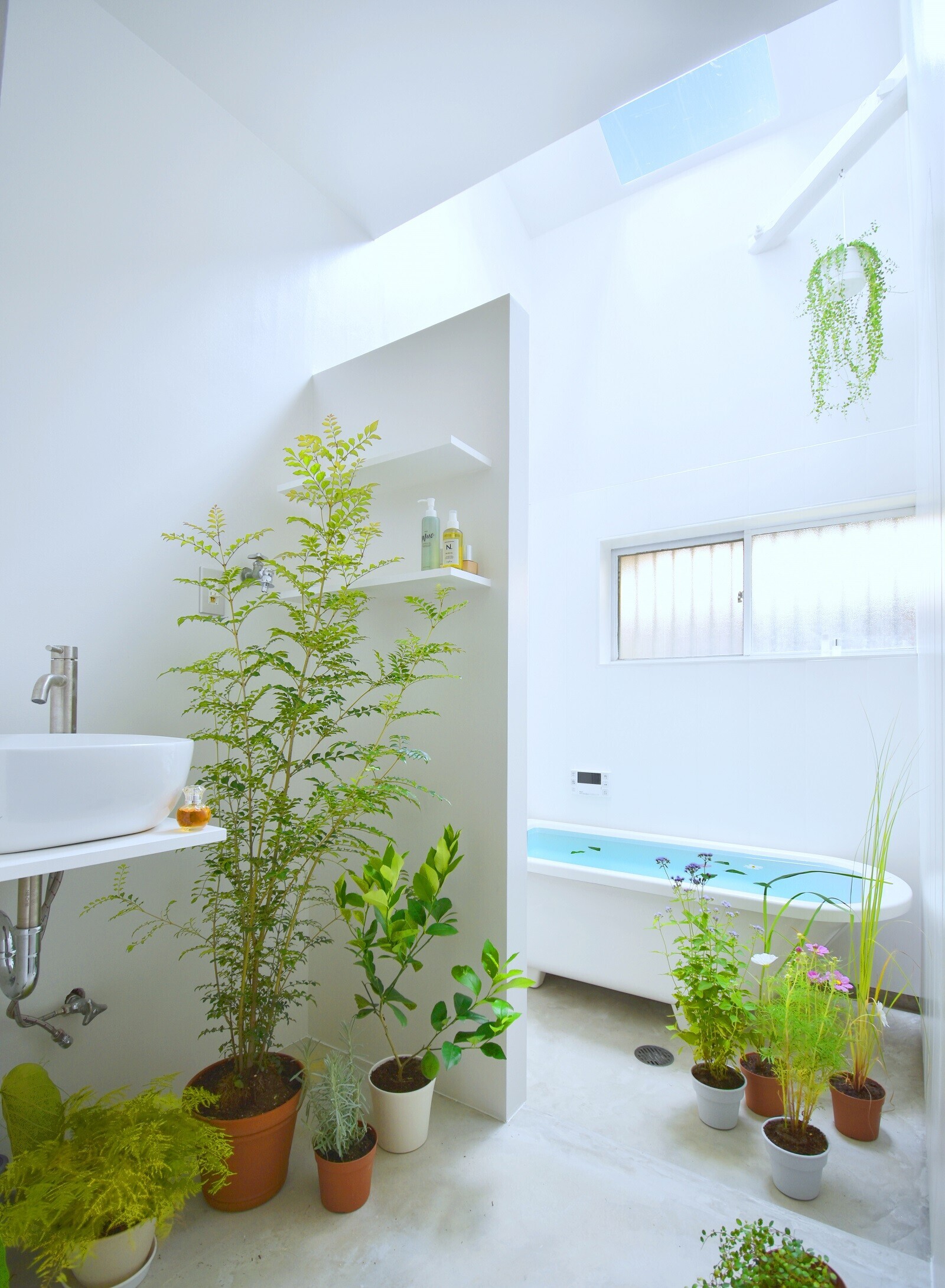 浴室のリノベーションの建築事例写真
