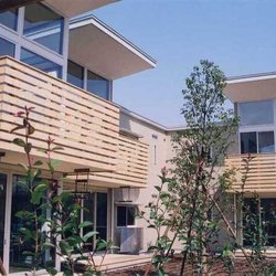 「シンボルツリーを取り囲む家並み」設計:SO建築設計