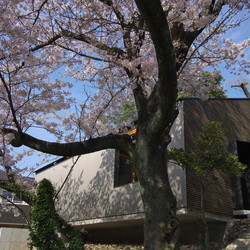 名古屋の家