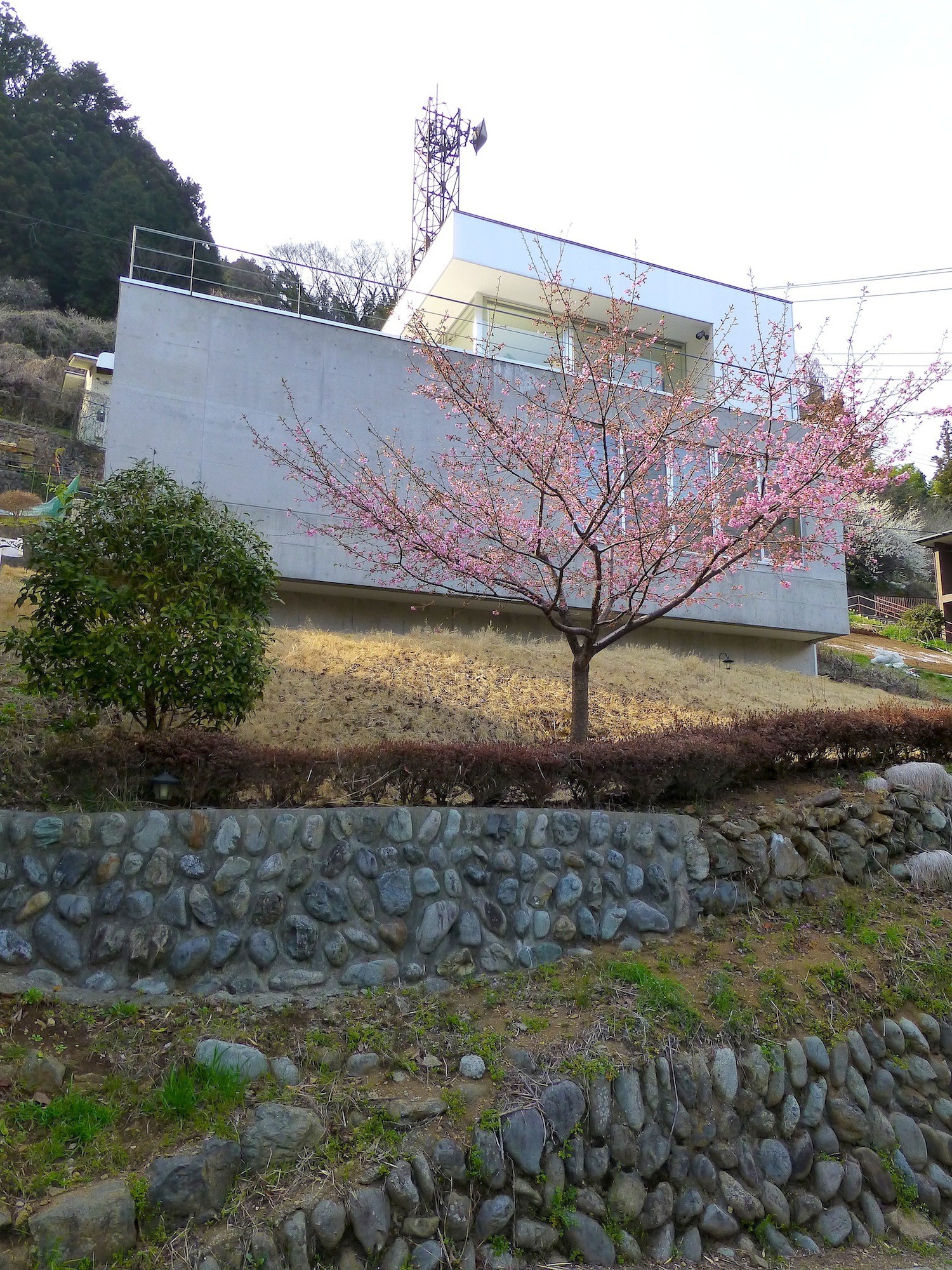 春になると、傾斜した庭に、桜が咲きます。 | OT-House